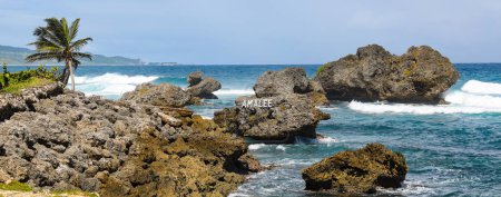 Téléchargez les photos : Vue panoramique de grands rochers sur la côte dans la région de Tent Bay, paroisse Saint Joseph, Bathsheba, Barbade. - en image libre de droit