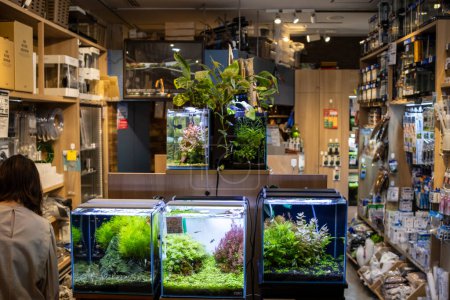 Photo for Tokyo, Japan, 28 October 2023: Aquarium Shop Display with Exotic Fish and Plants - Royalty Free Image