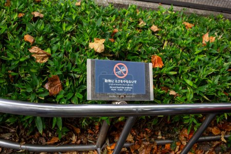 Téléchargez les photos : Tokyo, Japon, 31 octobre 2023 : Panneau anti-tabac au milieu des feuilles tombées dans le parc Ueno - en image libre de droit