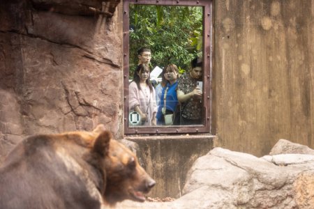 Téléchargez les photos : Tokyo, Japon, 31 octobre 2023 : Visiteurs regardant une exposition d'ours dans un zoo - en image libre de droit
