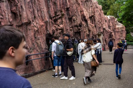 Téléchargez les photos : Tokyo, Japon, 31 octobre 2023 : Visiteurs au zoo d'Ueno près de la zone d'exposition rocheuse - en image libre de droit
