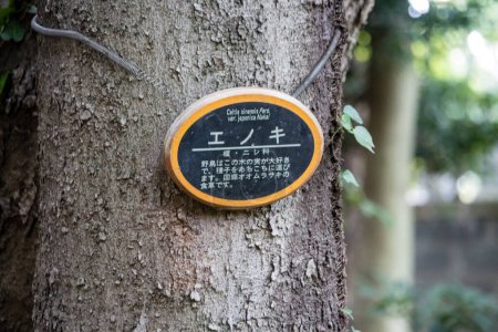 Téléchargez les photos : Tokyo, Japon, 31 octobre 2023 : Arbre avec panneau indiquant une zone Wi-Fi dans un parc - en image libre de droit