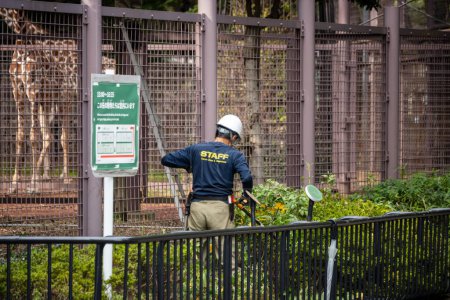Téléchargez les photos : Tokyo, Japon, 31 octobre 2023 : Un travailleur de la construction inspecte un site près d'une zone clôturée - en image libre de droit