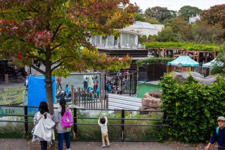 Téléchargez les photos : Tokyo, Japon, 31 octobre 2023 : Visiteurs observant des animaux au zoo d'Ueno - en image libre de droit