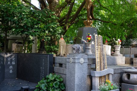 Photo for Tokyo, Japan, 1 November 2023: Serene cemetery in Tokyo with traditional gravestones and statues - Royalty Free Image