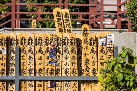 Photo for Tokyo, Japan, 1 November 2023: Collection of wooden prayer plaques at a Shinto shrine - Royalty Free Image
