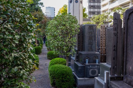 Photo for Tokyo, Japan, 1 November 2023: Manicured Trees and Stone Monuments in a Traditional Japanese Cemetery - Royalty Free Image