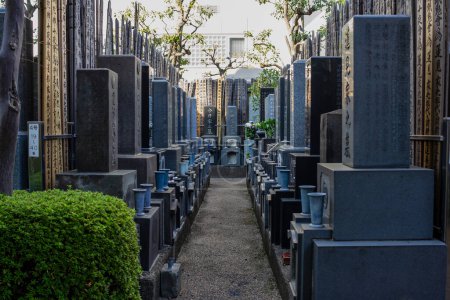 Photo for Tokyo, Japan, 1 November 2023: Pathway between traditional Japanese graves in a cemetery - Royalty Free Image
