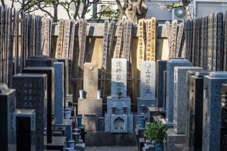 Photo for Tokyo, Japan, 1 November 2023: Array of Stone Monuments at a Japanese Cemetery - Royalty Free Image