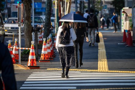 Téléchargez les photos : Tokyo, Japon, 2 Novembre 2023 : Marche pédestre avec parapluie le jour ensoleillé - en image libre de droit