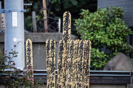Photo for Tokyo, Japan, 2 November 2023: Traditional wooden sotoba at a cemetery with inscriptions - Royalty Free Image