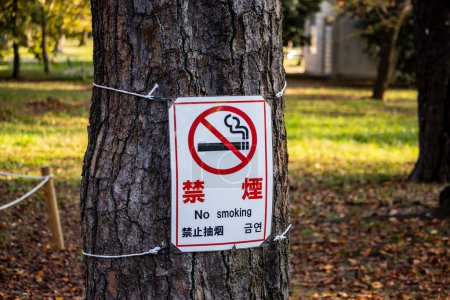 Téléchargez les photos : Tokyo, Japon, 3 novembre 2023 : Panneau anti-tabac attaché à un arbre dans un parc public - en image libre de droit