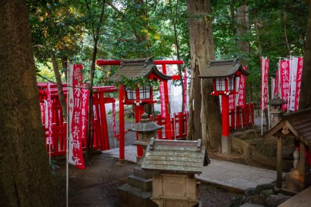 Photo for Tokyo, Japan, 3 November 2023: Traditional Red Torii Gates at a Shinto Shrine - Royalty Free Image