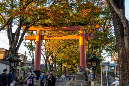 Photo for Tokyo, Japan, 3 November 2023: Torii gate at a Shinto shrine with autumn leaves - Royalty Free Image