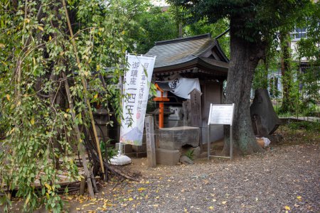 Téléchargez les photos : Tokyo, Japon, 4 novembre 2023 : Le coin tranquille du sanctuaire shintoïste avec des pancartes informatives et des bannières traditionnelles Noren - en image libre de droit