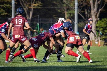 Photo for Tokyo, Japan, 4 November 2023: Dynamic Women's Rugby Match with Teams in Maroon and Blue Jerseys in Mid-Game Action - Royalty Free Image