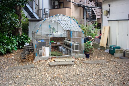 Photo for Tokyo, Japan, 4 November 2023: Urban Backyard Gardening with Makeshift Greenhouse - Royalty Free Image