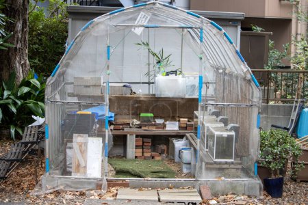 Photo for Tokyo, Japan, November 4 2023 : Urban Greenhouse Gardening - Royalty Free Image