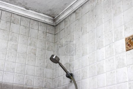 Téléchargez les photos : Une salle de bain avec moule au plafond. Nettoyage des moisissures et des taches. - en image libre de droit