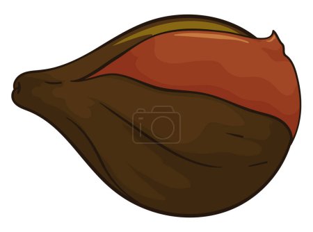 Illustration for Close up view of a delicious fig, covered with creamy 'dulce de leche' -also called 'arequipe' or caramelized milk-. - Royalty Free Image