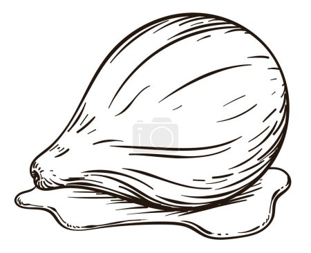 Ilustración de Delicioso higo, empapado con jarabe dulce. Diseño en estilo dibujado a mano sobre fondo blanco. - Imagen libre de derechos