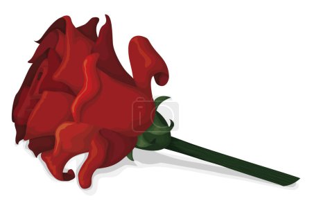Illustration for Red rose with long stem in cartoon style, isolated over white background. - Royalty Free Image