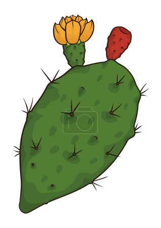 Illustration for Green nopal pad with fruit and flower in cartoon style on white background. - Royalty Free Image