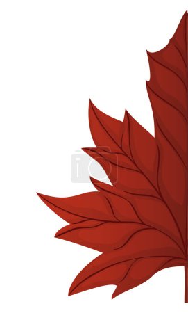 Illustration for Close-up view of red maple leaf with detail of its ribs and midribs on white background. - Royalty Free Image