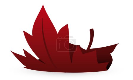 Maple leaf folded and fallen in red color. Gradient effect design on white background.