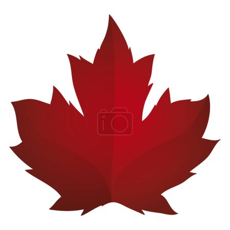 Maple leaf silhouette in red color and gradient effect on white background.