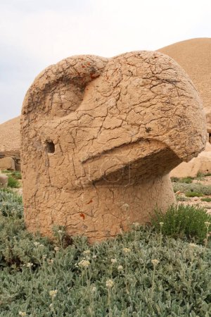 Téléchargez les photos : Tête d'une statue en pierre, sculpture d'un aigle sur la terrasse ouest du mont Nemrut, près d'Adiyaman, Turquie 2022 - en image libre de droit