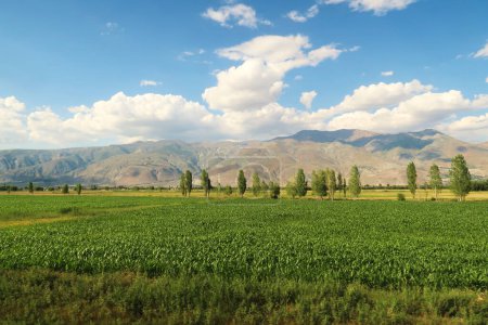 Spektakuläre Landschaft auf der Zugfahrt im Eastern Express, Dogu Ekspresi von Kars nach Ankara, grüne Felder vor Bergen, Wolken am blauen Himmel werfen Schatten, Türkei 2022