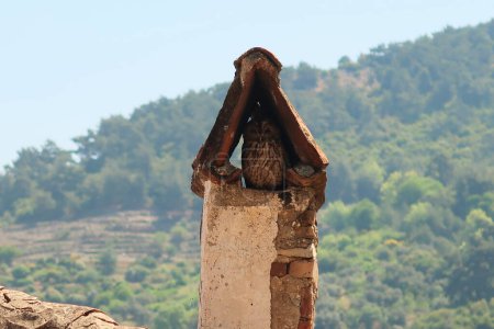 Pequeño búho sentado en una chimenea tradicional de una casa en Sirince, provincia de Izmir, Turquía