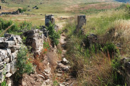 Die antiken Ruinen von Hierapolis, von Pflanzen überwuchert, Pamukkale, Denizli, Türkei 2022