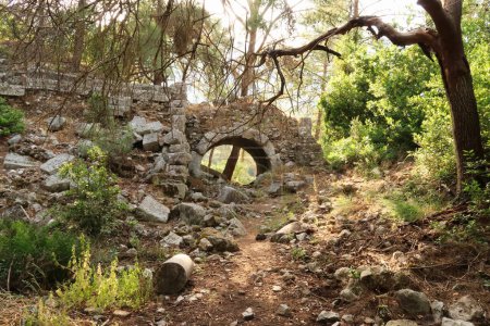 Entrance to the roman theater at the ancient site of Olympos, Olympus, in the forest, overgrown and half burried, close to Antalya, Turkey 2022
