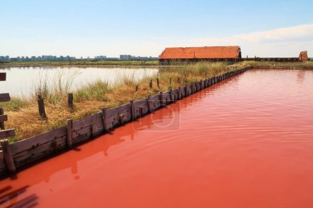 El baño principal, piscina en las Salinas de Burgas, agua de color rosa intenso, Lago Atanasovsko, Atanasovo, Burgas, Bourgas, Bulgaria 2022