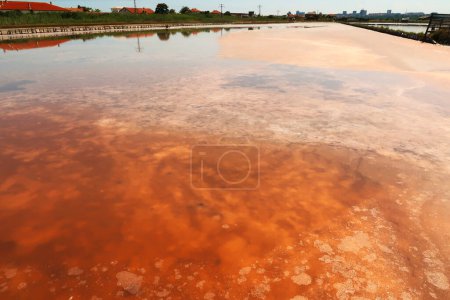 Foto de Depósitos visibles de sal rosa y naranja, residuos que forman un patrón bajo la superficie lisa de una piscina en las Salinas de Burgas, Lago Atanasovsko, Atanasovo, Burgas, Bourgas, Bulgaria 2022 - Imagen libre de derechos