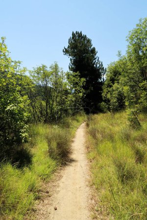 Le sentier de randonnée entre la forteresse d'Asen et le monastère de Bachkovo traverse une végétation luxuriante et dense, près de Plovdiv, Plowdiw, Bulgarie 2022