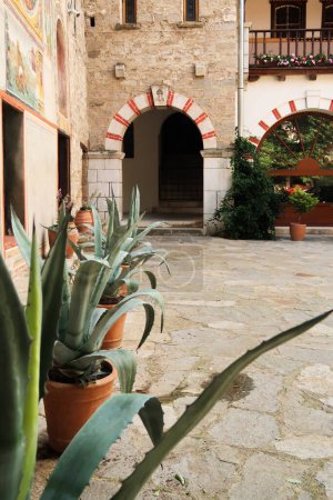 Aloe Vera plantes dans la cour du monastère de Bachkovo à côté d'une porte colorée rouge et blanc, porte, près de Plovdiv, Bulgarie 2022