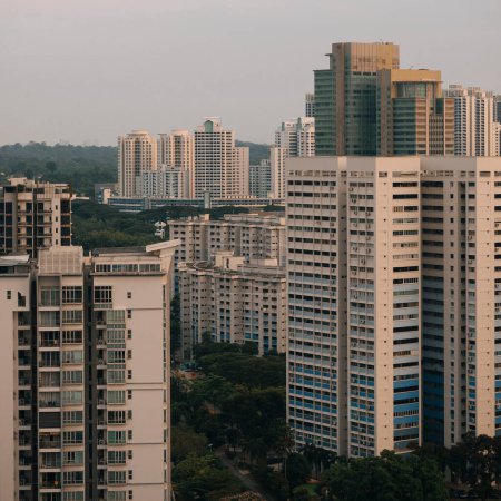 Foto de Junta de Desarrollo de Viviendas HDB Public Housing Apartments En Singapur En medio de vegetación plantada - Imagen libre de derechos