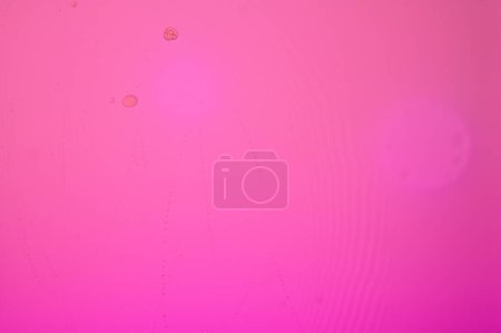 Photo for Oil and water do not mix, pink - Royalty Free Image