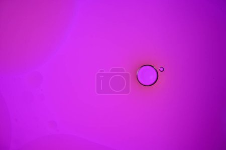 Photo for Oil and water do not mix, purple - Royalty Free Image
