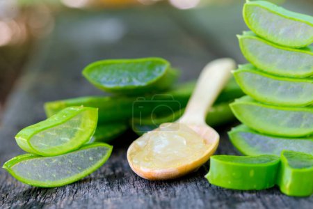Téléchargez les photos : Aloe vera sur cuillère en bois sur table en bois Il existe de nombreuses herbes utiles. - en image libre de droit