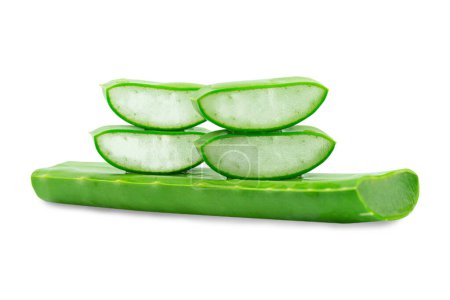 Photo for Aloe vera fresh isolated on white background.a very useful herbal medicine for skin care and hair care. - Royalty Free Image