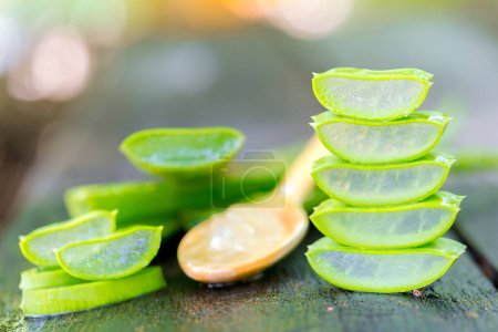 Photo for Aloe vera on wooden spoon on wooden table There are many useful herbs. - Royalty Free Image