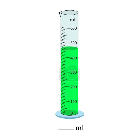 Illustration for Measuring cylinder. Vector illustration. Cylinder graduated tube vector glass chemistry measuring volume. Measuring the volume of the beaker. Measuring activity. Graduated Cylinder - Royalty Free Image