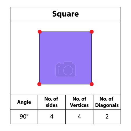 Square. shapes Angles, vertices, sides, diagonal. with colors, fields for red dots Edges, math teaching pictures. Octagon. shape symbol vector icon.