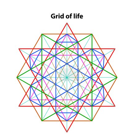 Illustration for Grid of life. Scared Geometry Vector Design Elements color line art. This is religion, philosophy, and spirituality symbols. the world of geometry with our intricate illustrations. - Royalty Free Image