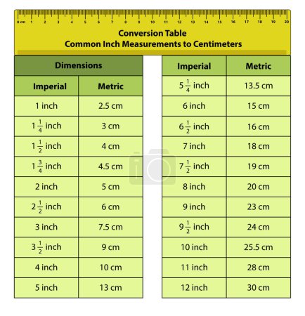 Illustration for Inches and cm table. Vector illustration of Dimensions imperial to metric chart in centimeter and inches. - Royalty Free Image