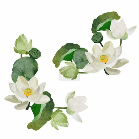 Téléchargez les illustrations : Aquarelle lotus blanc éléments de cadre de bouquet de fleurs sur fond blanc isolé - en licence libre de droit